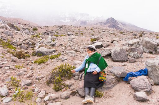 The indigenous woman in the mountains. Ecuador, the Andes.