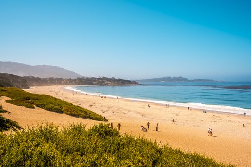 The San Francisco coast surrounded by trees under a blue sky