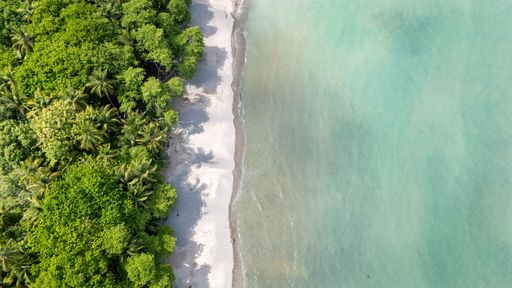 Aerial view of a tropical beach with lush green forest and turquoise sea, creating a serene natural landscape.