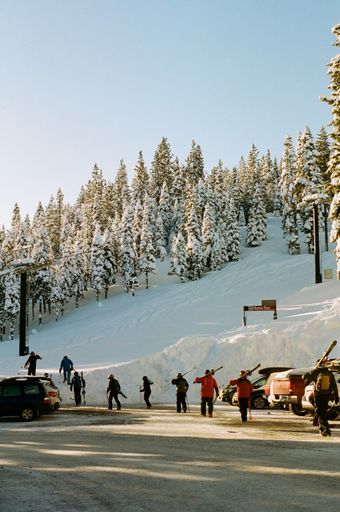 A vertical shot of people with snow boards walking near a snowy hill with trees