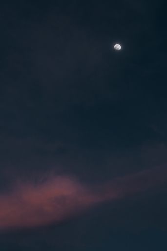 A beautiful vertical shot of a full moon in a night sky