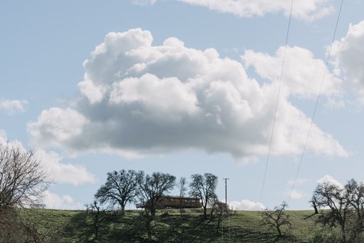 A wide shot of trees in a green grass field near a wooden cabin under a clear sky with white clouds
