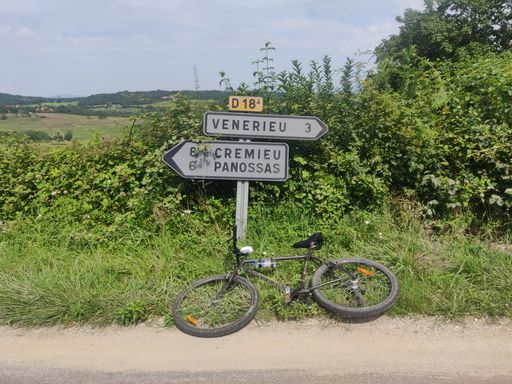 A beautiful scene of a bicycle leaning on a sign of green plants in France. Summer season