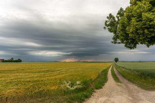 A dirt path through golden fields under a cloudy sky in Bavaria, Germany