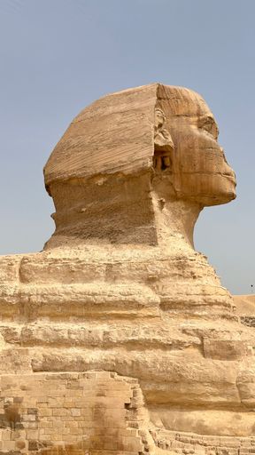 Side view of the Great Sphinx of Giza under a clear sky in Egypt showcasing ancient architecture.