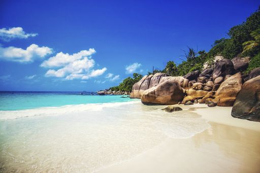 A beach surrounded by the sea rocks and greenery under the sunlight and a blue sky in Praslin in Seychelles