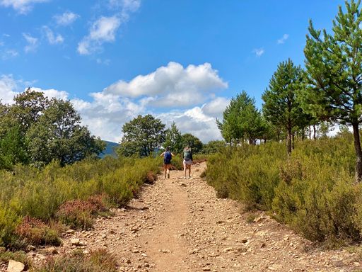 Two hikers on a rocky trail in a lush green forest under a bright blue sky, showcasing outdoor adventure and nature exploration.