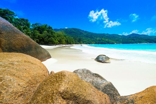 A beach surrounded by the sea rocks and greenery under the sunlight and a blue sky in Praslin in Seychelles
