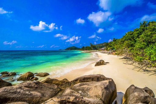 A beach surrounded by the sea rocks and greenery under the sunlight and a blue sky in Praslin in Seychelles