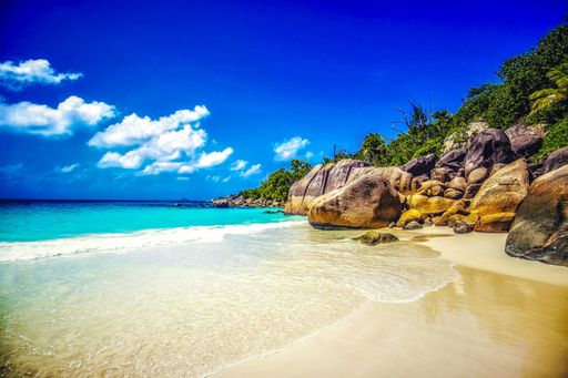 A beach surrounded by the sea rocks and greenery under the sunlight and a blue sky in Praslin in Seychelles