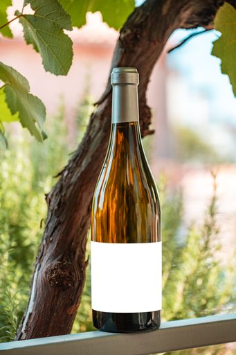 A vertical shot of a bottle of white wine with a blank mockup label under the grapevine plant