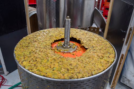 A closeup shot of pressing the grapes and extracting the liquid