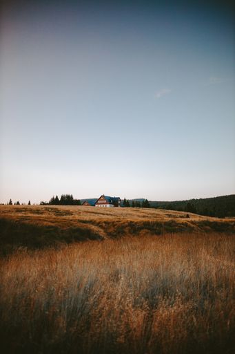 A vertical shot of a summer landscape with yellow grass in Jizerka village in Czech Republic