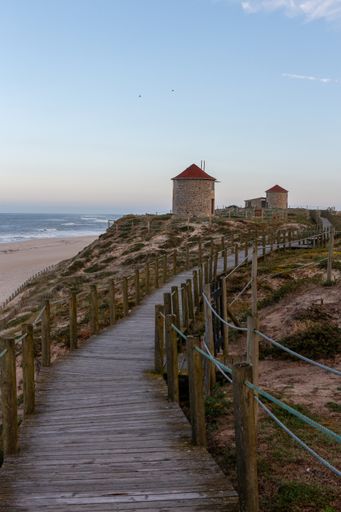 A vertical shot of a wooden bridge or pier