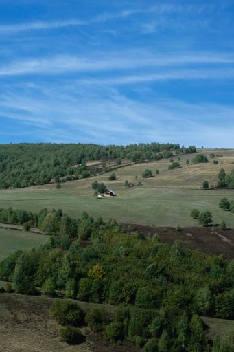 A vertical shot of vast green hills covered by lush trees under a bright blue sky full of clouds