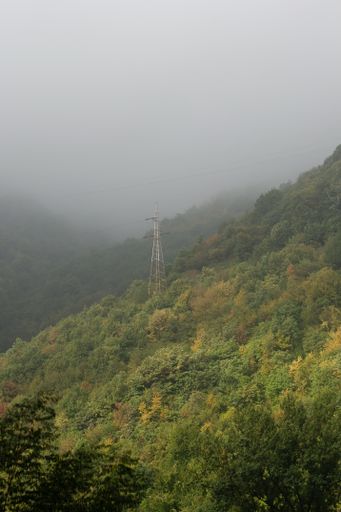 A vertical shot of transmission towers on vast hills covered by lush trees and thick fog