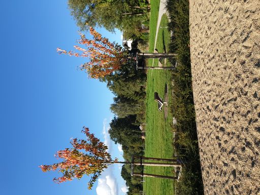 A vertical shot of a park near the sandy ground on a sunny day in Wroclaw, Poland