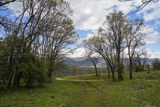 A rural road surrounded by greenery under a cloudy sky