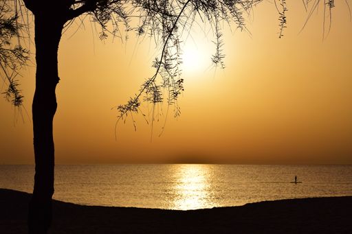 A gorgeous view of an orange sky above a calm sea at sunset with the silhouette of a tree and a person rowing on a raft