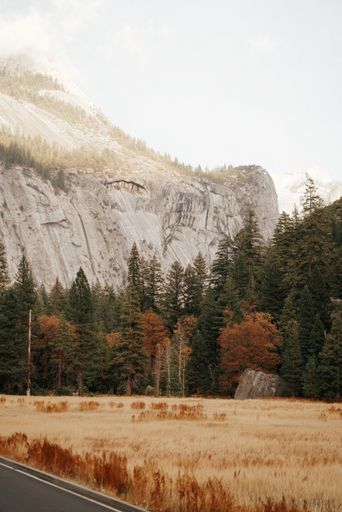 A vertical shot of a field with tall trees and a rocky mountain in the background