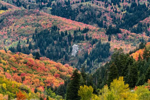 A shot of an elephant rock in Bountiful, Utah, the USA in a fall composition
