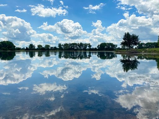 reflejo en el lago de mormon island state recreation area