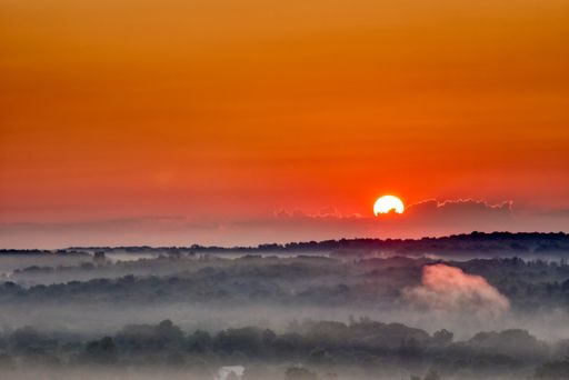 A beautiful shot of the amazing sunset in the countryside foggy forest and the breathtaking red sky