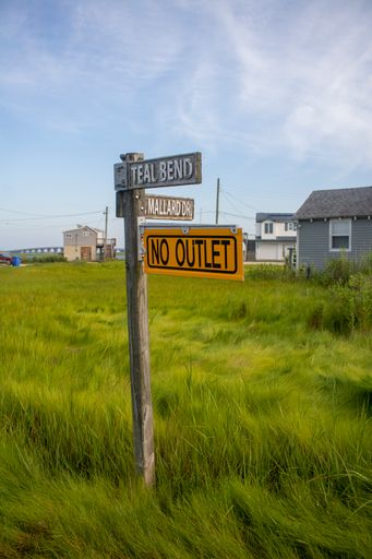A vertical shot of a pole with street signs on the grassy lawn