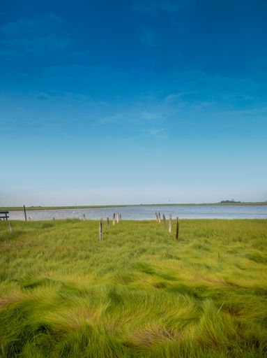 A vertical shot of a boat dock grass bay waterway with green marshland under a blue sky