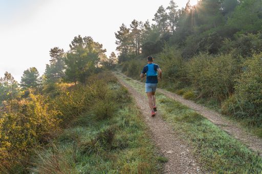 A male jogger running on a rural road leading to a forest in the morning