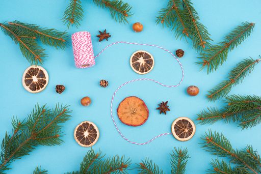 Christmas decoration on a blue colored background, branches of fir, dry oranges and apples