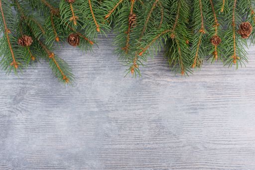 Christmas background with branches of fir, empty copy space, wooden grey backdrop