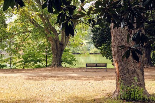 A single bench in a park near a lake