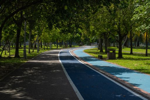 A beautiful shot at Kepong Metropolitan Park, Kuala Lumpur, Malaysia