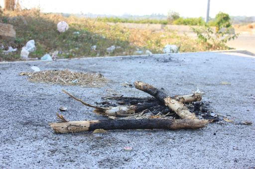 A closeup shot of charred wood, tree bark with ash pile, burn firewood on the ground
