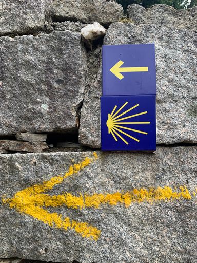 A yellow arrow with the St James way sign on an ol wall