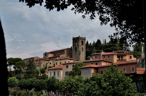 A beautiful shot of buildings surrounded with green plants under the cloudy gray sky