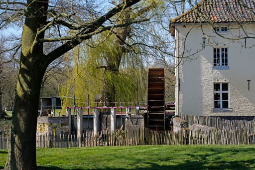 A white house with a beautiful green backyard and a wooden fence