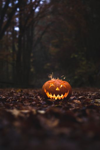 Scary halloween pumpkin face in the dark.