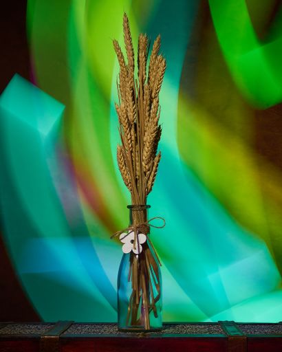 A vertical shot of wheat plants in a glass vase on a colorful background