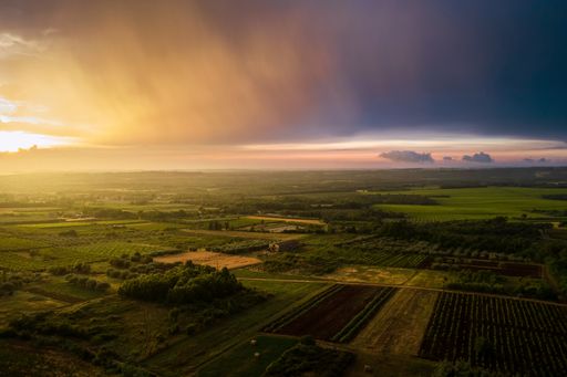 A breathtaking aerial  view of a field covered with greenery on beautiful sunset background