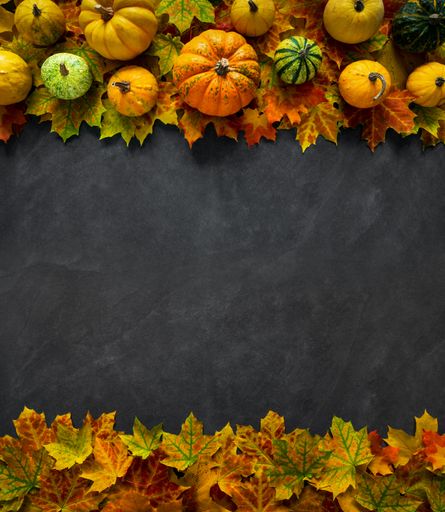 A top view of Autumn Pumpkin background- Thanksgiving concept