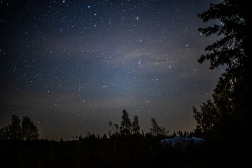 A mesmerizing starry night sky with tree silhouettes