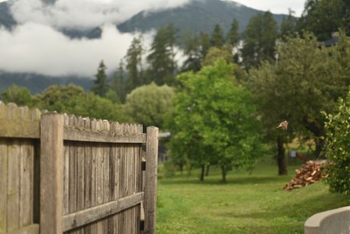 A beautiful shot of a farm fence near the forest under the cloudy sky