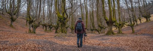 A man in a fantasy forest Otzarreta in the Basque Country