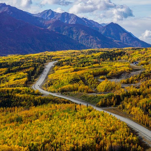 A smooth road passing through a deciduous woodland with golden autumn foliage and mountains in the background