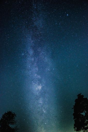 A low angle of the beautiful starry shiny night sky