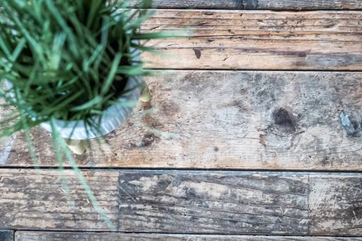 An overhead shot of grungy wooden surface with a green plant on the side and space for your text