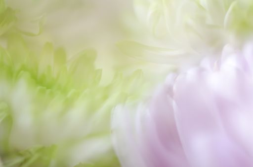 A beautiful painting with pastel colors under the lights - perfect for art backgrounds and wallpapers