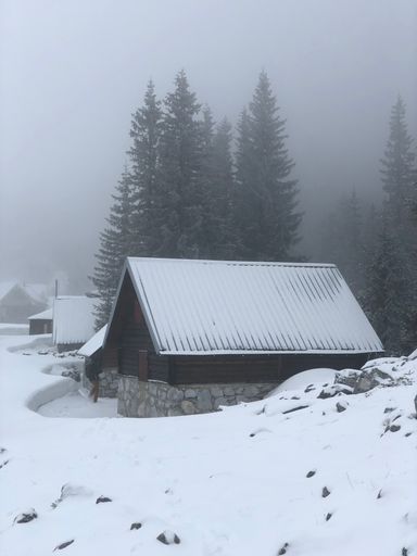 A vertical shot of wooden cabins of a village covered in snow during winter